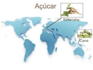 Açúcar 
Cana 
Beterraba 
 
