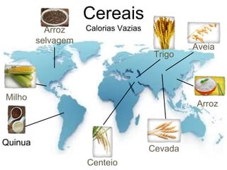 Cereais 
Calorias Vazias 
Quinua 
Arroz 
selvagem 
Aveia 
Trigo 
Cevada 
Centeio 
Arroz 
Milho 
 