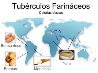 Tubérculos Farináceos 
Calorias Vazias 
Mandioca 
Yam 
Batata doce 
Batatas 
 