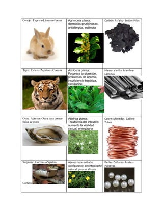 Conejo: Tapetes-Llaveros-Forros Agrimonia planta:
dermatitis pruriginosas,
antialérgica, estimula
Carbón:Asfalto- Betún- Pilas
Tigre: Pieles – Zapatos – Correas Achicoria planta:
Favorece la digestión,
problemas de anemia,
insuficiencia hepática,
circulación
.
Hierro:Varilla- Alambre-
Laminas
Ostra: Adornos-Ostra para comer-
Salsa de ostra
Ajedrea planta:
Trastornos del intestino,
aumenta la vitalidad
sexual, energizarte
Cobre:Monedas- Cables-
Tubos
Serpiente: Correas -Zapatos-
Carteras
Ajenjohojascribado:
Adelgazante,desintoxicarte
natural,picoresalitosis.
Perlas:Collares- Aretes-
Pulseras
 