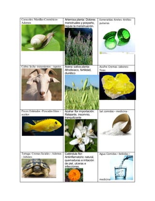 Caracoles: Manillas-Cosméticos-
Adornos
Artemisa planta: Dolores
menstruales y posparto,
regula la menstruación.
Esmeraldas:Aretes- Anillos-
pulseras
Cabra: leche- tratamientos - tapetes Avena sativa planta:
Afrodisiaco, fertilidad,
diurético
Azufre:Cremas- Jabones-
Tizas:
Peces:Enlatados -Pescados fritos –
aceites
Azahar flor importación:
Relajante, insomnio,
tranquilizante
Sal:comidas – medicina-
Tortuga: Cremas faciales - Adornos
- Jabones
Caléndula flor:
Antiinflamatorio natural,
quemaduras e irritación
de piel, ulceras e
infecciones.
Agua:Comidas – bebidas –
medicina
 