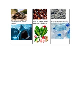 Tiburón:Jarabes - aceites–
comidas
Cola de caballo planta:
Piel bella, pelo y uñas
Plástico:utensiliosyreciclaje
 
