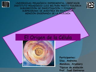 Participantes: Díaz, Andreina Mendoza, Arusmery Tópicos de evolución Prof. José Contreras El Origen de la Célula 