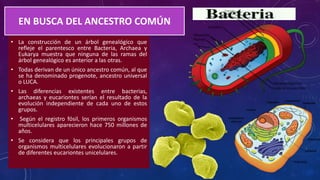 Origen de la celula | PPTX