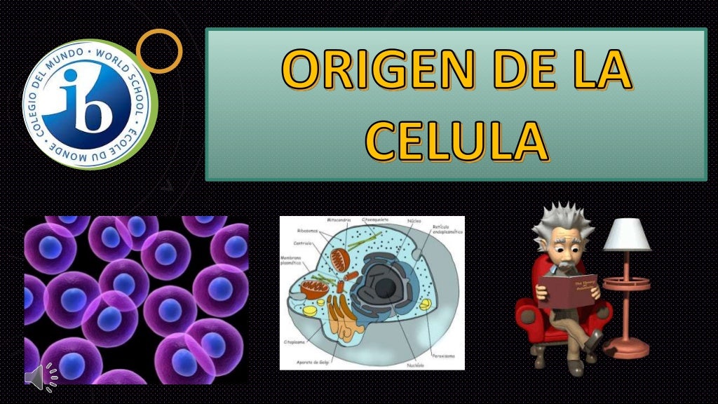 Origen de la celula