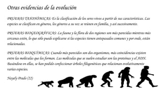 Otras evidencias de la evolución
PRUEBAS TAXONÓMICAS: Es la clasificación de los seres vivos a partir de sus características. Las
especies se clasifican en géneros, los géneros a su vez se reúnen en familia, y así sucesivamente.
PRUEBAS BIOGEOGRÁFICAS: La fauna y la flora de dos regiones son más parecidas mientras más
cercanas estén, lo que sólo puede explicarse si las especies tienen antepasados comunes y por ende, están
relacionadas.
PRUEBAS BIOQUÍMICAS: Cuando más parecidos son dos organismos, más coincidencias existen
entre las moléculas que los forman. Las moléculas que se suelen estudiar son las proteínas y el ADN.
Basándose en ellas, se han podido confeccionar árboles filogenéticos que relacionan evolutivamente
varias especies.
Nayely Prado (22)
 