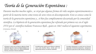 Teoría de la Generación Espontánea :
Durante muchos muchos siglos , se creyó que algunas formas de vida surgían espontáneamente a
partir de la materia inerte como restos de seres vivos en descomposición. Esto se conoce como la
teoría de la generación espontánea y , si bien fue completamente descartada por la comunidad
científica. La hipótesis de la generación espontánea fue refutada por primera vez en el siglo
XVII por el científico italiano Francesco Redi , quien en 1665 realizó el siguiente experimento.
Constanza Arévalo
 