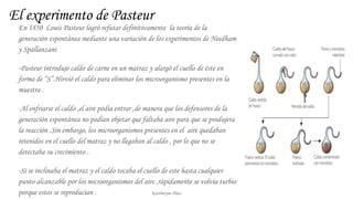 El experimento de Pasteur
En 1850 Louis Pasteur logró refutar definitivamente la teoría de la
generación espontánea mediante una variación de los experimentos de Needham
y Spallanzani
-Pasteur introdujo caldo de carne en un matraz y alargó el cuello de éste en
forma de “S”.Hirvió el caldo para eliminar los microorganismo presentes en la
muestra .
-Al enfriarse el caldo ,el aire podía entrar ,de manera que los defensores de la
generación espontánea no podían objetar que faltaba aire para que se produjera
la reacción .Sin embargo, los microorganismos presentes en el aire quedaban
retenidos en el cuello del matraz y no llegaban al caldo , por lo que no se
detectaba su crecimiento .
-Si se inclinaba el matraz y el caldo tocaba el cuello de este hasta cualquier
punto alcanzable por los microorganismos del aire ,rápidamente se volvia turbio
porque estos se reproducian . Kattheryne Diaz
 