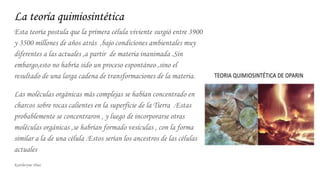 La teoría quimiosintética
Esta teoría postula que la primera célula viviente surgió entre 3900
y 3500 millones de años atrás ,bajo condiciones ambientales muy
diferentes a las actuales ,a partir de materia inanimada .Sin
embargo,esto no habría sido un proceso espontáneo ,sino el
resultado de una larga cadena de transformaciones de la materia.
Las moléculas orgánicas más complejas se habían concentrado en
charcos sobre rocas calientes en la superficie de la Tierra .Estas
probablemente se concentraron , y luego de incorporarse otras
moléculas orgánicas ,se habrían formado vesículas , con la forma
similar a la de una célula .Estos serían los ancestros de las células
actuales
Kattheryne Diaz
 