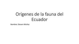 Orígenes de la fauna del
Ecuador
Nombre: Steven Muñoz
 