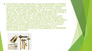  Los primeros restos aparecidos y que se asemejaban al hombre
fueron llamados Australopitecos. Había diferentes subespecies
pero eran muy parecidos. Estos tenían un cuerpo y cabeza
pequeña. Solían medir alrededor de 1,25 m. y un peso de entre
25 y 30 kg, de fuerte mandíbula y se alimentaban de semillas y
frutos secos. Se podía decir que algunos de ellos eran
ligeramente distintos con una complexión más ligera y que
además de comer plantas, comían animales que cazaban en
manadas. Estos se unían en grupo para hacerlo y cogían piedras
y palos como armas. También fueron los primeros en fabricar
instrumentos golpeando una piedra con otra, es ya una gran
hazaña pues es un objeto que se prepara para un uso
determinado. Su cerebro aún era muy pequeño y se asemejaba
más al de los primates.
 