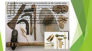  El siguiente paso siguiente en la evolución se dio cuando estos
cazadores consiguieron fabricar herramientas por lo cual se
convirtieron de esta manera en el “hombre hábil”, Homo
habilis. Fue alrededor de unos cuatro millones de años. Eran
primos hermanos de los Australopitecos, todavía de pequeño
tamaño y la cara casi plana. Era ya capaz de tallar grandes
cantidades de piedras y huesos, como un verdadero artesano.No
son sólo lascas sacadas al golpear las piedras sino que dan
formas a los guijarros y hacen raspadores de piedras.
 