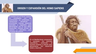 ORIGEN Y EXPANSIÓN DEL HOMO SAPIENS
A medida que el Homo sapiens
se propagaba por los
continentes, se enfrentaba a
variaciones climáticas y
encontraba nuevas especies
animales y vegetales para
alimentarse, por lo que debía
desarrollar nuevas armas de
cacería y utensilios para
procesar las presas.
En el Mediterráneo empezaron
a escasear los grandes
mamíferos, entonces el
hombre empezó a pescar para
alimentarse. Así desarrolló
redes y arpones.
 