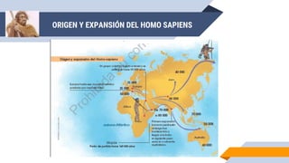ORIGEN Y EXPANSIÓN DEL HOMO SAPIENS
 