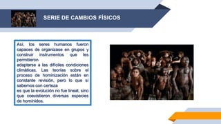 Así, los seres humanos fueron
capaces de organizase en grupos y
construir instrumentos que les
permitieron
adaptarse a las difíciles condiciones
climáticas. Las teorías sobre el
proceso de hominización están en
constante revisión, pero lo que sí
sabemos con certeza
es que la evolución no fue lineal, sino
que coexistieron diversas especies
de homínidos.
SERIE DE CAMBIOS FÍSICOS
 