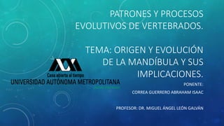 PATRONES Y PROCESOS
EVOLUTIVOS DE VERTEBRADOS.
TEMA: ORIGEN Y EVOLUCIÓN
DE LA MANDÍBULA Y SUS
IMPLICACIONES.
PONENTE:
CORREA GUERRERO ABRAHAM ISAAC
PROFESOR: DR. MIGUEL ÁNGEL LEÓN GALVÁN
 