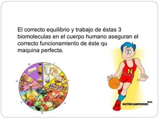 El correcto equilibrio y trabajo de éstas 3
biomoleculas en el cuerpo humano aseguran el
correcto funcionamiento de éste que es una
maquina perfecta.
 