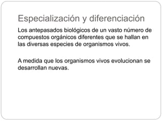 Especialización y diferenciación
Los antepasados biológicos de un vasto número de
compuestos orgánicos diferentes que se hallan en
las diversas especies de organismos vivos.
A medida que los organismos vivos evolucionan se
desarrollan nuevas.
 