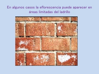 En algunos casos la eflorescencia puede aparecer en
áreas limitadas del ladrillo
 