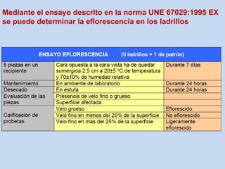 Mediante el ensayo descrito en la norma UNE 67029:1995 EX
se puede determinar la eflorescencia en los ladrillos
 