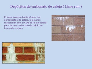 Depósitos de carbonato de calcio ( Lime run )
El agua arrastra hacia afuera los
compuestos de calcio, los cuales
reaccionan con el CO2 de la atmosfera
para formar carbonato de calcio en
forma de costras
 