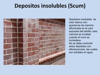 Depositos insolubles (Scum)
Depósitos insolubles de
color blanco con
apariencia de mancha
difuminada en la cara
expuesta del ladrillo; esta
mancha es invisible
cuando el muro se
humedece.
No se debe confundir
estos depósitos con
eflorescencias, las cuales
son solubles en agua.
 