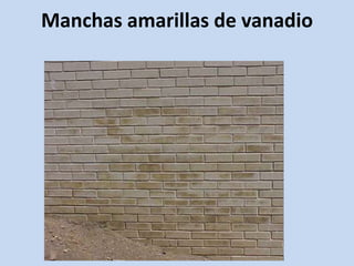 Manchas amarillas de vanadio
 