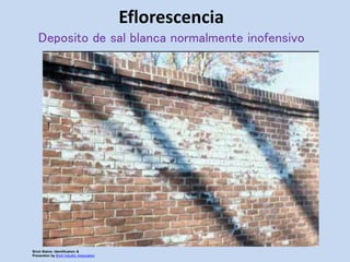 Eflorescencia
Deposito de sal blanca normalmente inofensivo
Brick Stains: Identification &
Prevention by Brick Industry Association
 