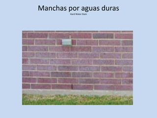 Manchas por aguas duras
Hard Water Stain
 