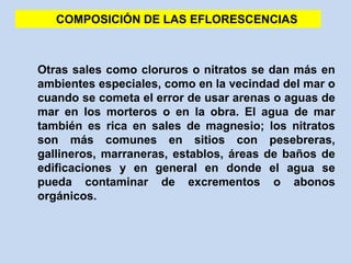 COMPOSICIÓN DE LAS EFLORESCENCIAS
Otras sales como cloruros o nitratos se dan más en
ambientes especiales, como en la vecindad del mar o
cuando se cometa el error de usar arenas o aguas de
mar en los morteros o en la obra. El agua de mar
también es rica en sales de magnesio; los nitratos
son más comunes en sitios con pesebreras,
gallineros, marraneras, establos, áreas de baños de
edificaciones y en general en donde el agua se
pueda contaminar de excrementos o abonos
orgánicos.
 