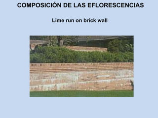 COMPOSICIÓN DE LAS EFLORESCENCIAS
Lime run on brick wall
 