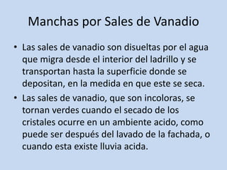 Manchas por Sales de Vanadio
• Las sales de vanadio son disueltas por el agua
que migra desde el interior del ladrillo y se
transportan hasta la superficie donde se
depositan, en la medida en que este se seca.
• Las sales de vanadio, que son incoloras, se
tornan verdes cuando el secado de los
cristales ocurre en un ambiente acido, como
puede ser después del lavado de la fachada, o
cuando esta existe lluvia acida.
 