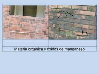 Materia orgánica y óxidos de manganeso
 