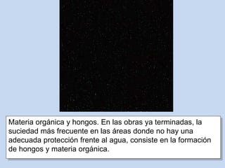 Materia orgánica y hongos. En las obras ya terminadas, la
suciedad más frecuente en las áreas donde no hay una
adecuada protección frente al agua, consiste en la formación
de hongos y materia orgánica.
 