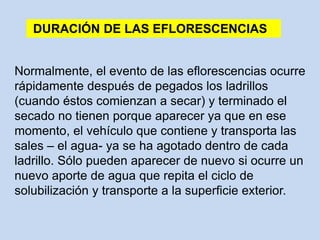 Normalmente, el evento de las eflorescencias ocurre
rápidamente después de pegados los ladrillos
(cuando éstos comienzan a secar) y terminado el
secado no tienen porque aparecer ya que en ese
momento, el vehículo que contiene y transporta las
sales – el agua- ya se ha agotado dentro de cada
ladrillo. Sólo pueden aparecer de nuevo si ocurre un
nuevo aporte de agua que repita el ciclo de
solubilización y transporte a la superficie exterior.
DURACIÓN DE LAS EFLORESCENCIAS
 