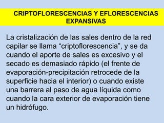 La cristalización de las sales dentro de la red
capilar se llama “criptoflorescencia”, y se da
cuando el aporte de sales es excesivo y el
secado es demasiado rápido (el frente de
evaporación-precipitación retrocede de la
superficie hacia el interior) o cuando existe
una barrera al paso de agua líquida como
cuando la cara exterior de evaporación tiene
un hidrófugo.
CRIPTOFLORESCENCIAS Y EFLORESCENCIAS
EXPANSIVAS
 