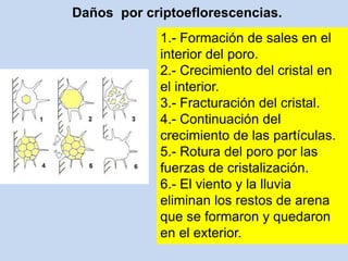 Daños por criptoeflorescencias.
1.- Formación de sales en el
interior del poro.
2.- Crecimiento del cristal en
el interior.
3.- Fracturación del cristal.
4.- Continuación del
crecimiento de las partículas.
5.- Rotura del poro por las
fuerzas de cristalización.
6.- El viento y la lluvia
eliminan los restos de arena
que se formaron y quedaron
en el exterior.
 