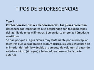 TIPOS DE EFLORESCENCIAS
Tipo II
Criptoeflorescencias o subeflorescencias: Las piezas presentan
desconchados importantes o se desprenden con facilidad capas
del ladrillo de unos milímetros. Suelen darse en zonas húmedas o
marítimas.
Se dan por que el agua circula muy lentamente por la red capilar
mientras que la evaporación es muy brusca, las sales cristalizan en
el interior del ladrillo y debido al aumento de volumen al pasar de
estado anhidro (sin agua) a hidratado se desconcha la parte
exterior.
 
