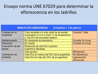 Ensayo norma UNE 67029 para determinar la
eflorescencia en los ladrillos
 