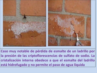 Caso muy notable de pérdida de esmalte de un ladrillo por
la presión de las criptoflorescencias de sulfato de sodio. La
cristalización interna obedece a que el esmalte del ladrillo
está hidrofugado y no permite el paso de agua líquida
 
