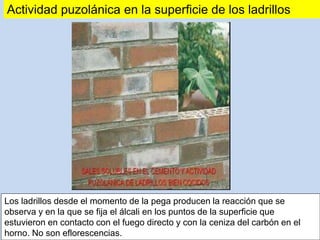 Los ladrillos desde el momento de la pega producen la reacción que se
observa y en la que se fija el álcali en los puntos de la superficie que
estuvieron en contacto con el fuego directo y con la ceniza del carbón en el
horno. No son eflorescencias.
Actividad puzolánica en la superficie de los ladrillos
 
