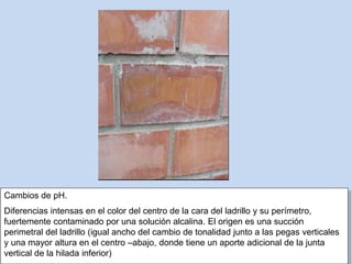 Cambios de pH.
Diferencias intensas en el color del centro de la cara del ladrillo y su perímetro,
fuertemente contaminado por una solución alcalina. El origen es una succión
perimetral del ladrillo (igual ancho del cambio de tonalidad junto a las pegas verticales
y una mayor altura en el centro –abajo, donde tiene un aporte adicional de la junta
vertical de la hilada inferior)
 