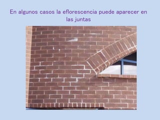 En algunos casos la eflorescencia puede aparecer en
las juntas
 