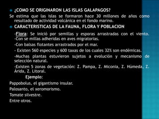 

¿COMO SE ORIGINARON LAS ISLAS GALAPAGOS?

Se estima que las islas se formaron hace 30 millones de años como
resultado de actividad volcánica en el fondo marino.


CARACTERISTICAS DE LA FAUNA, FLORA Y POBLACION

-Flora: Se inició por semillas y esporas arrastradas con el viento.
-Con se millas adheridas en aves migratorias.
-Con balsas flotantes arrastrados por el mar.
- Existen 560 especies y 600 taxas de los cuales 32% son endémicas.
-Muchas plantas estuvieron sujetos a evolución y mecanismo de
selección natural.
-Existen 5 zonas de vegetación: Z. Pampa, Z. Miconia, Z. Húmeda, Z.
Árida, Z. Litoral.
Ejemplo:
Pappobolus, el gigantismo insular.
Palosanto, el xeromorismo.
Tomate silvestre.
Entre otros.

 