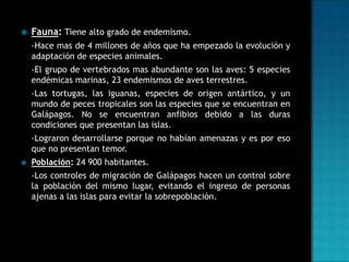 

Fauna: Tiene alto grado de endemismo.
-Hace mas de 4 millones de años que ha empezado la evolución y
adaptación de especies animales.

-El grupo de vertebrados mas abundante son las aves: 5 especies
endémicas marinas, 23 endemismos de aves terrestres.
-Las tortugas, las iguanas, especies de origen antártico, y un
mundo de peces tropicales son las especies que se encuentran en
Galápagos. No se encuentran anfibios debido a las duras
condiciones que presentan las islas.
-Lograron desarrollarse porque no habían amenazas y es por eso
que no presentan temor.


Población: 24 900 habitantes.
-Los controles de migración de Galápagos hacen un control sobre
la población del mismo lugar, evitando el ingreso de personas
ajenas a las islas para evitar la sobrepoblación.

 