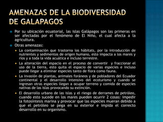 



Por su ubicación ecuatorial, las islas Galápagos son las primeras en
ser afectadas por el fenómeno de El Niño, el cual afecta a la
agricultura.
Otras amenazas:
La contaminación que trastorna los hábitats, por la introducción de
nutrientes y sedimentos de origen humano, esto impacta a los mares y
ríos y a toda la vida acuática e incluso terrestre.
 La alteración del espacio en el proceso de convertir y fraccionar el
uso de la tierra, esto quita el espacio de varias especies e incluso
puede llegar a eliminar especies tanto de flora como fauna.
 La invasión de plantas, animales foráneos y de pobladores del Ecuador
continental y el desarrollo intensivo del ecoturismo y cuando se
ingresan otras especies llegan a ocupar terreno y comida de especies
nativas de las islas provocando su extinción.
 El desarrollo urbano de las islas y el riesgo de derrames de petróleo,


cuando esto sucede en los mares pueden ocurrir 2 cosas: impedir
la fotosíntesis marina y provocar que las especies mueran debido a
que el petróleo se pega en su exterior e impida el correcto
desarrollo en su organismo.

 