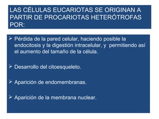 LAS CÉLULAS EUCARIOTAS SE ORIGINAN A
PARTIR DE PROCARIOTAS HETERÓTROFAS
POR:

 Pérdida de la pared celular, haciendo posible la
  endocitosis y la digestión intracelular, y permitiendo así
  el aumento del tamaño de la célula.

 Desarrollo del citoesqueleto.

 Aparición de endomembranas.

 Aparición de la membrana nuclear.
 