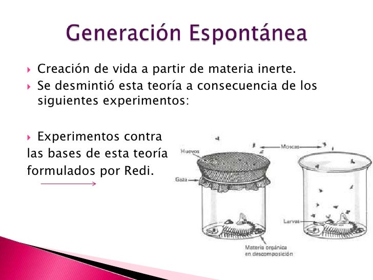 Origen De La Vida