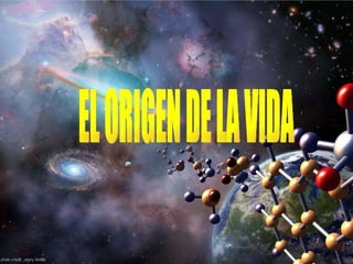 EL ORIGEN DE LA VIDA 