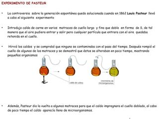EXPERIMENTO DE PASTEUR La controversia  sobre la generación espontánea quedo solucionada cuando en 1862  Louis Pasteur  llevó a cabo el siguiente  experimento Introdujo caldo de carne en varios  matraces de cuello largo  y fino que doblo  en forma  de S, de tal manera que el aire pudiera entrar y salir pero cualquier partícula que entrara con el aire  quedaba retenida en el cuello. Hirvió los caldos  y se comprobó que ninguno se contaminaba con el paso del tiempo. Después rompió el cuello de algunos de los matraces y se demostró que éstos se alteraban en poco tiempo, mostrando pequeños organismos vivos. Los otros matraces permanecieron inalterados. Además, Pasteur dio la vuelta a algunos matraces para que el caldo impregnara el cuello doblado, al cabo de poco tiempo el caldo  aparecía lleno de microorganismos. De esta manera la teoría de  la generación espontanea quedaba invalidada  ¿POR QUÉ? 